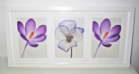 Kvetiny obraz, veľkosť 52,5 cm x 25,5 cm - Obrázok č. 1