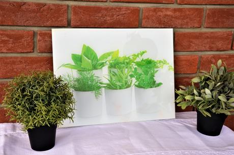 sklenená tabuľa na písanie-bylinky - Obrázok č. 1