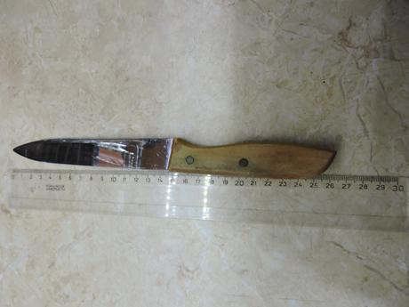 nôž s drevenou rukoväťou menší                     - Obrázok č. 1