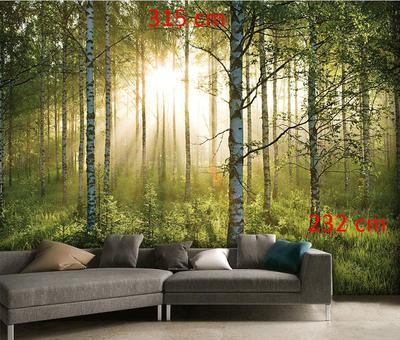 Veľkoplošný plagát 1wall - letný les - brezový háj - Obrázok č. 1