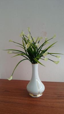 Biele kvety - Obrázok č. 1