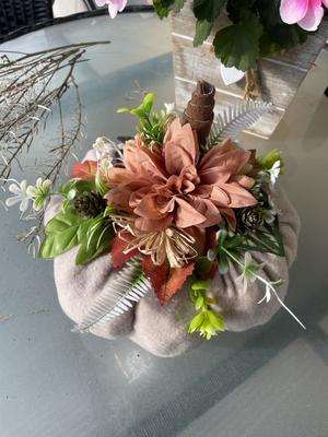 Tekvičky - Obrázok č. 1