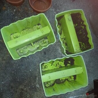 Črepníky na balkón 3ks - Obrázok č. 1