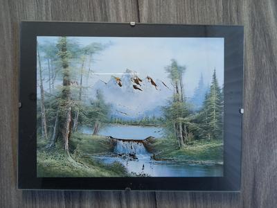 Obraz v skle  príroda 24 x 18 cm-top stav - Obrázok č. 1