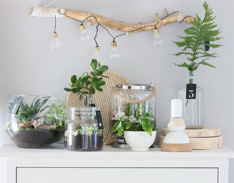 Návod na výrobu: Sklené teráriá s rastlinami