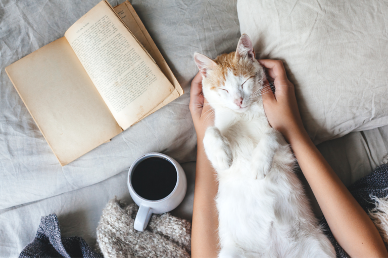 Hygge interiér: Dánsky fenomén prinesie pohodu do vášho domova