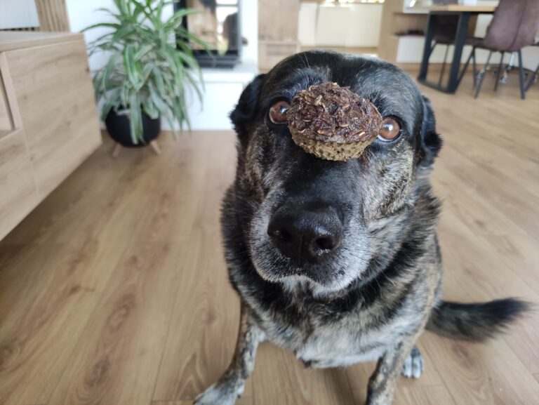 Recept na domáce pamlsky pre psa len zo 4 surovín