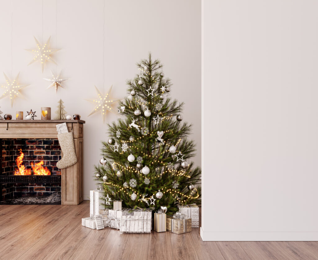 Ako vybrať vianočný stromček? Veľký prehľad dostupných možností