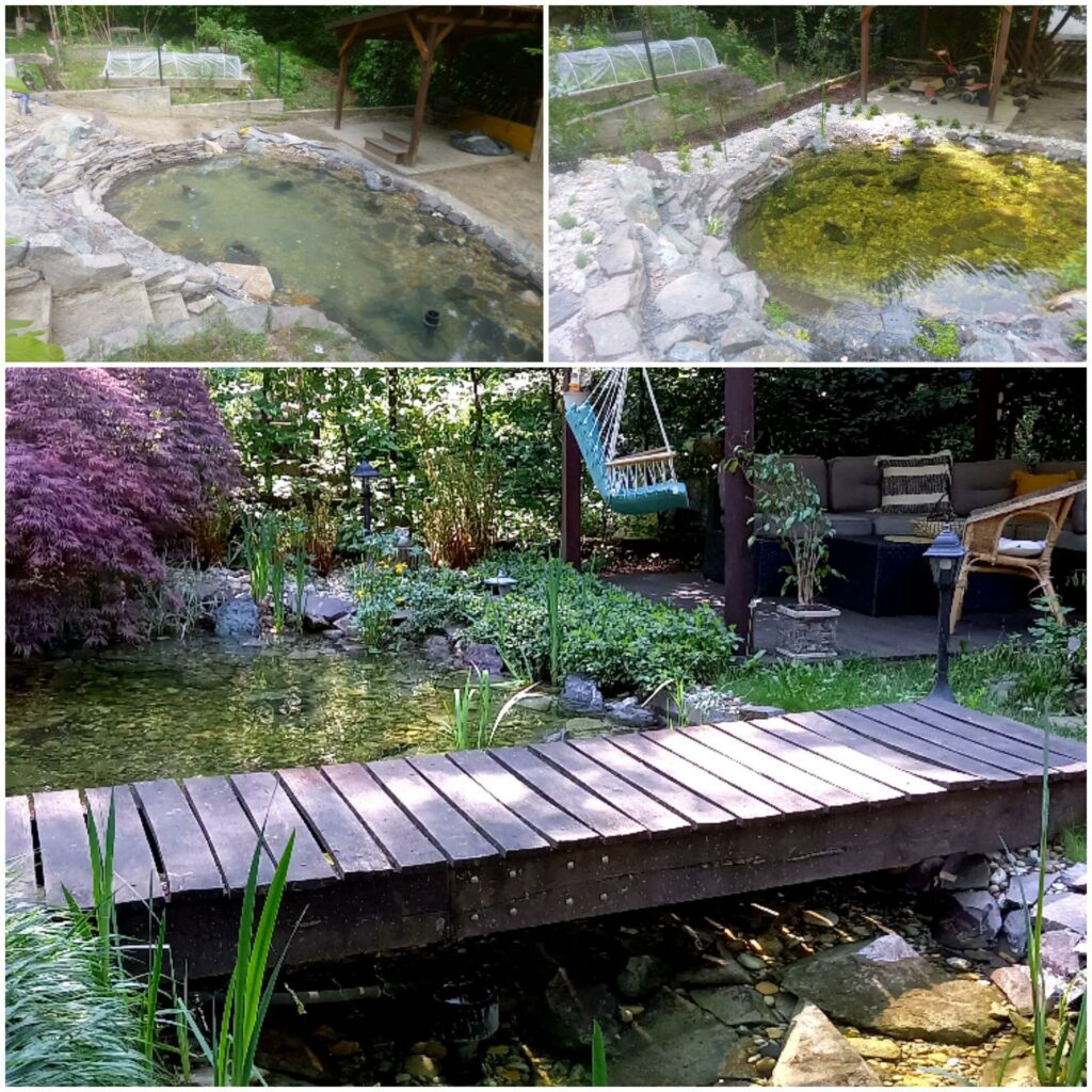 prírodné záhradné jazierko