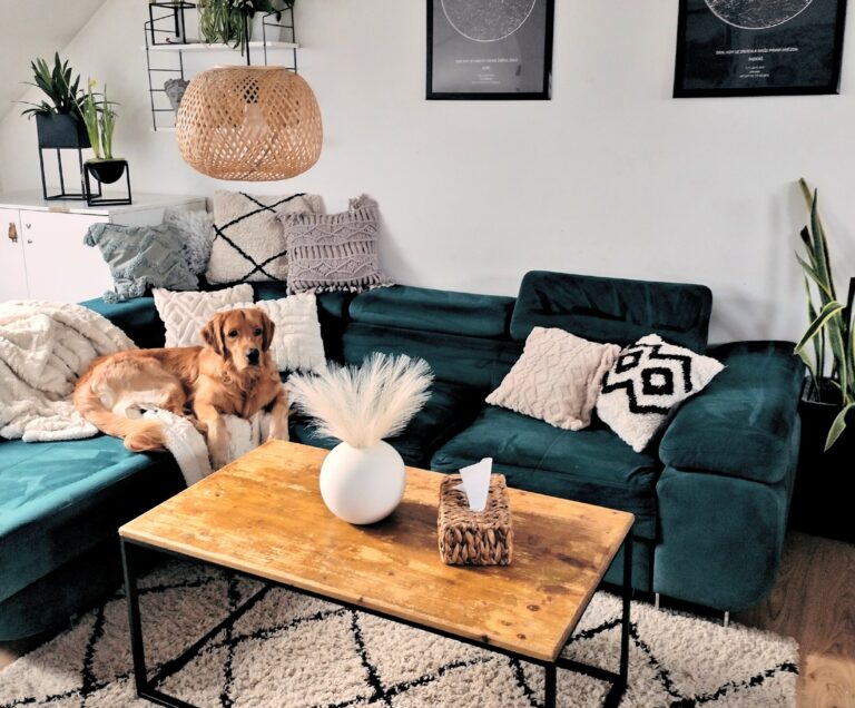 Na návšteve: Smaragdovo zelený gauč vás očarí!