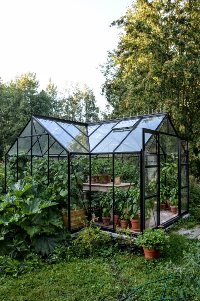 skleník v záhrade 