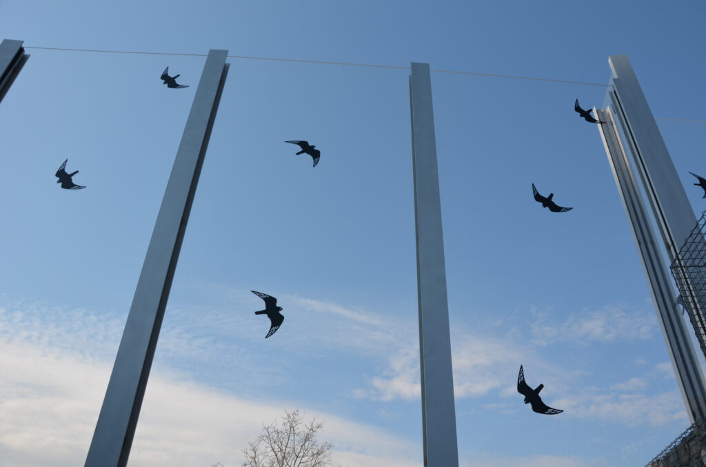 nárazy vtákov do okien – toto im nezabráni