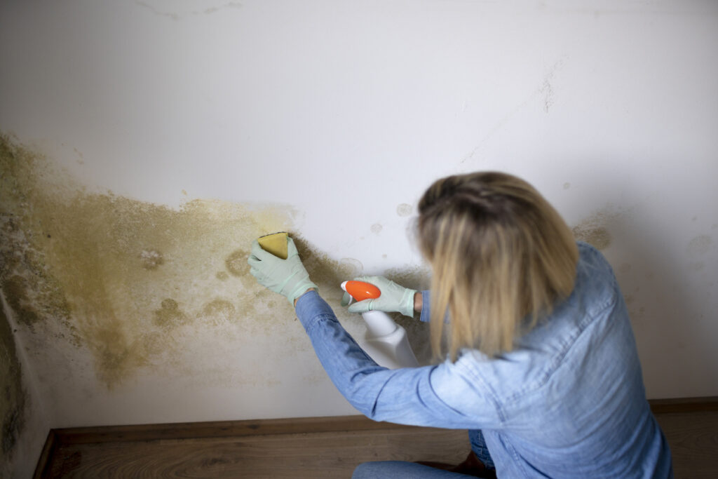 Pleseň na stenách v domácnosti: Ako ju rozpoznať a účinne odstrániť?