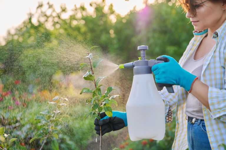 Pavla z Modrej strechy: Takto vyzerá náš predjarný postrek ovocných stromov a ich ochrana počas roka