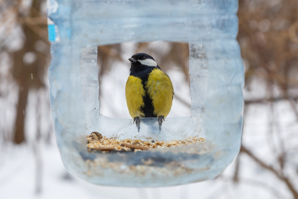 Krmítko pre vtáky z recyklovateľných materiálov