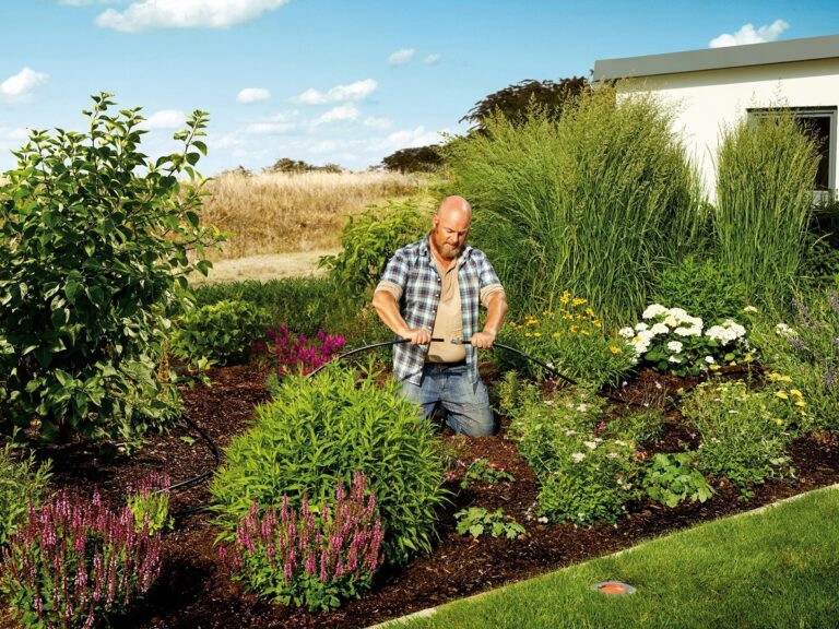 Tipy pre oživenie vašej záhrady krok za krokom