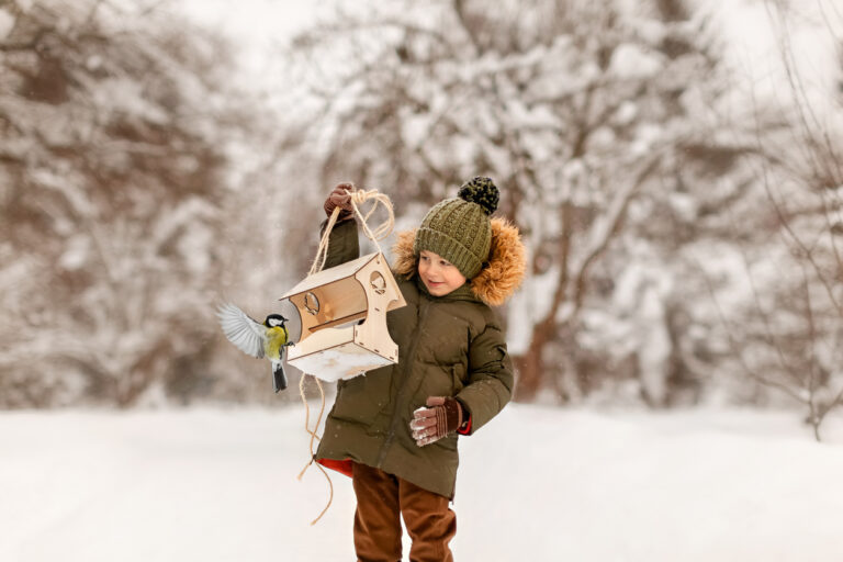 Ako správne kŕmiť vtáky v zime: Čo dať do kŕmidla a ako si vyrobiť vlastné pochúťky