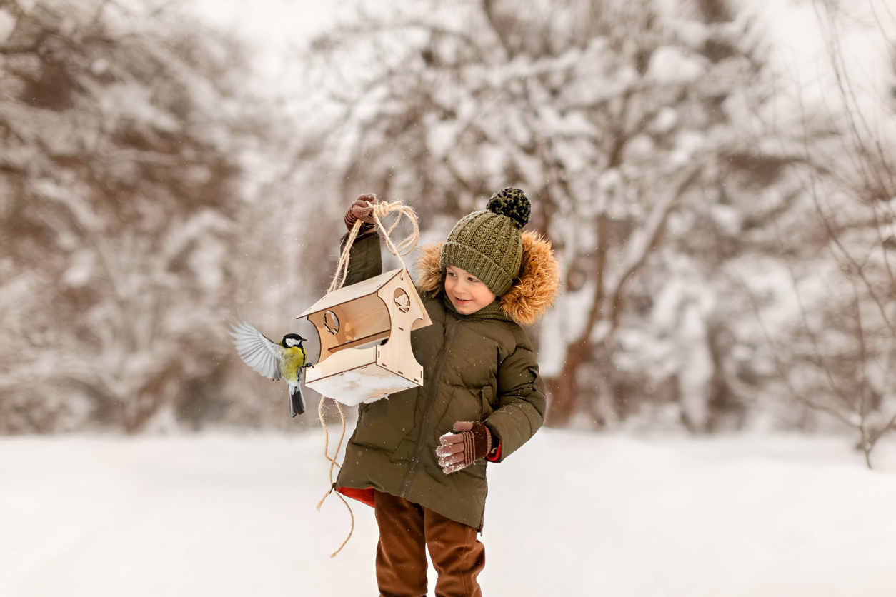 chlapec napĺňa vtákom kŕmidlo, zimné kŕmenie vtákov