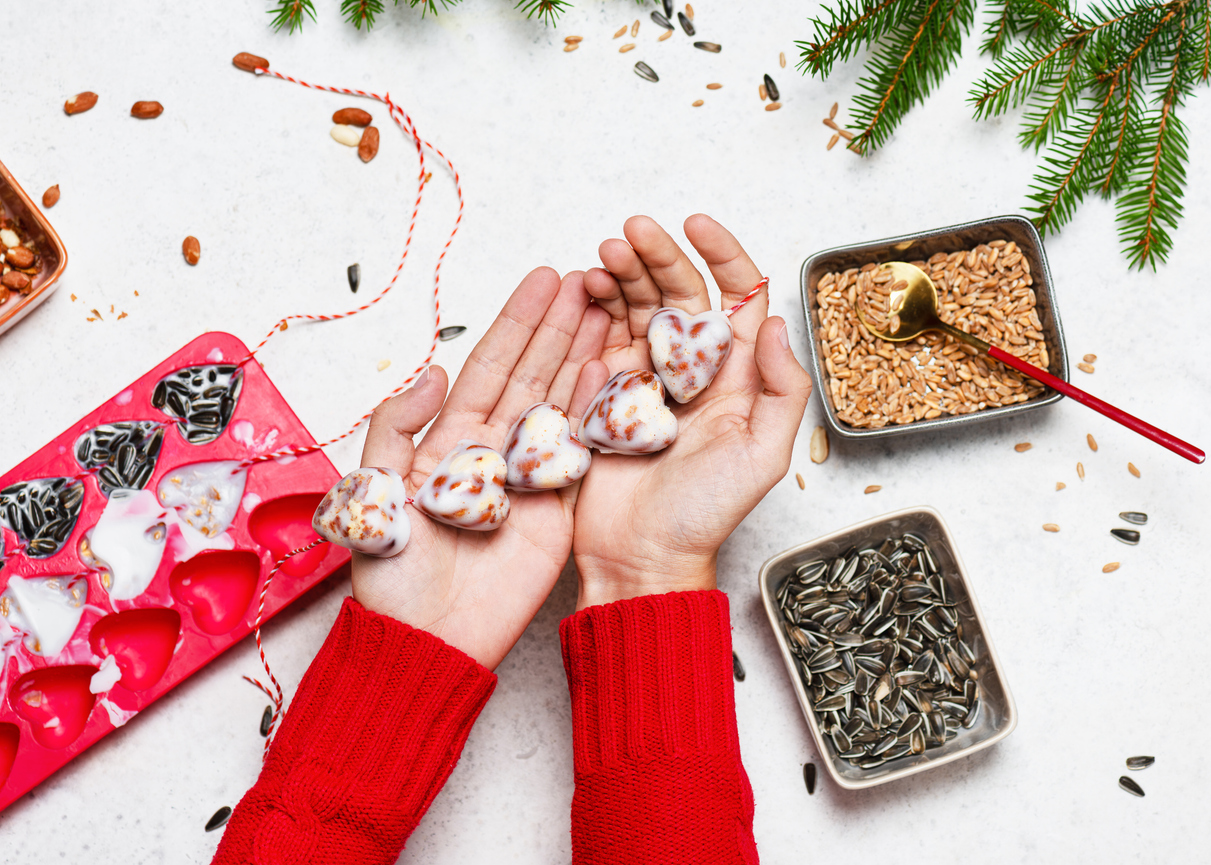 diy lojové gule pre vtákov