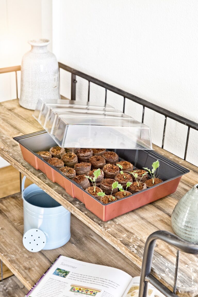 Pripravte svoje rastliny na rozkvet