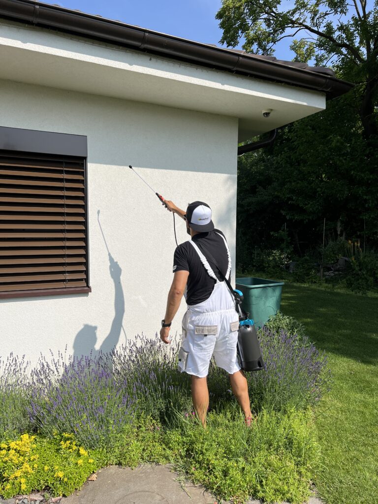 ako vyčistiť fasádu za pomoci Weber fasádneho čističa