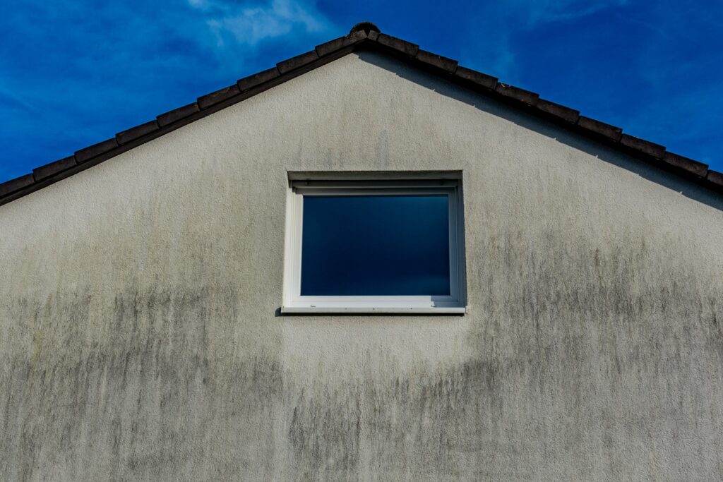 čierne fľaky na fasáde